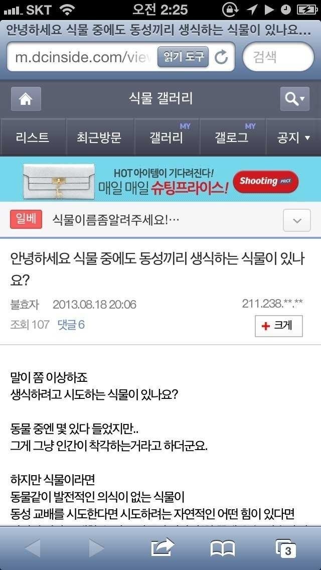 식물갤 올타임 레전드....jpg | 인스티즈