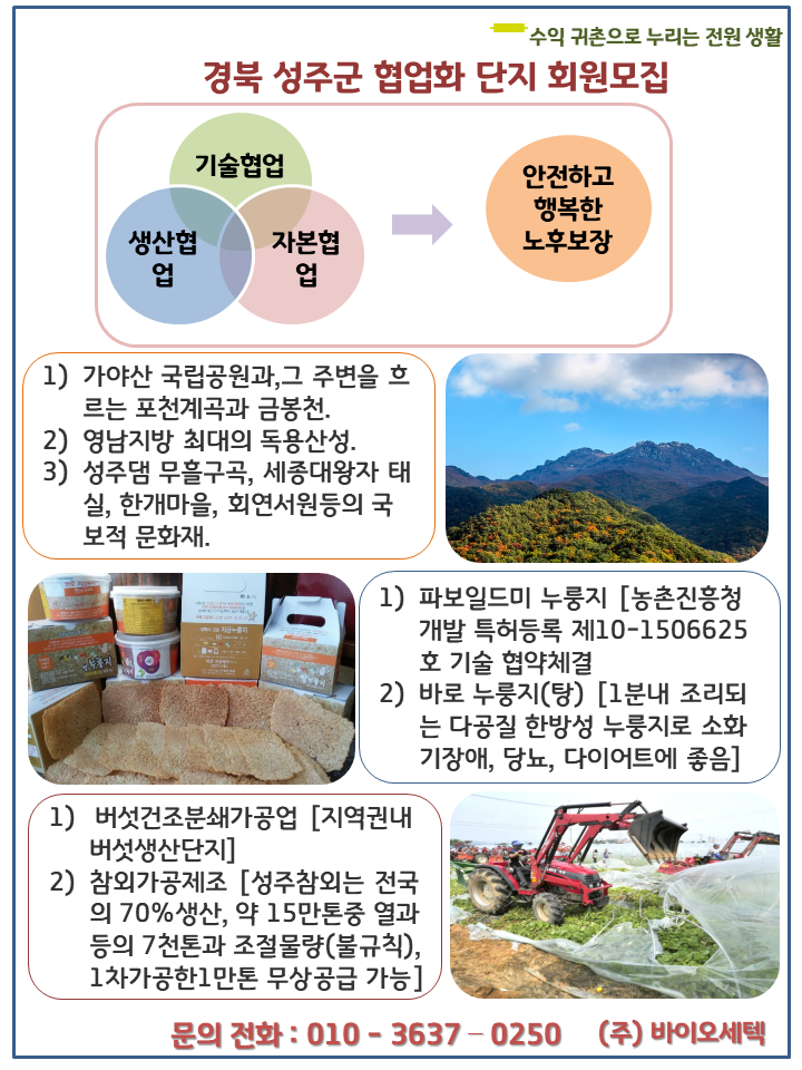 금봉천 이미지