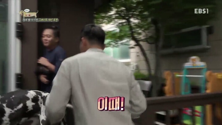 강형욱 훈련사에게 감탄한 세나개 제작진과 견주들.jpg | 인스티즈