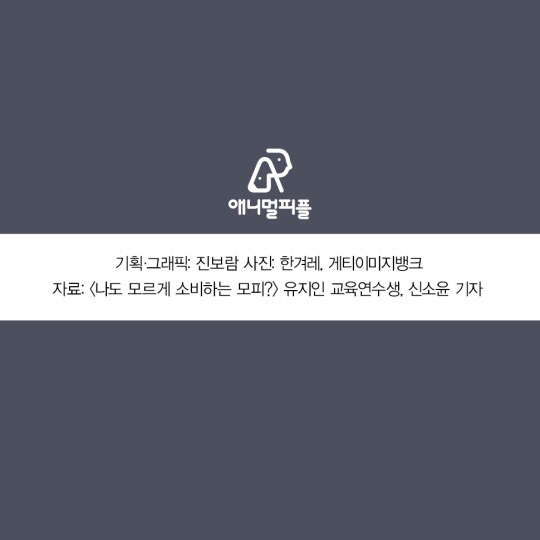 일상에 스며든 동물학대 생산품들 (중간에 피 주의) | 인스티즈