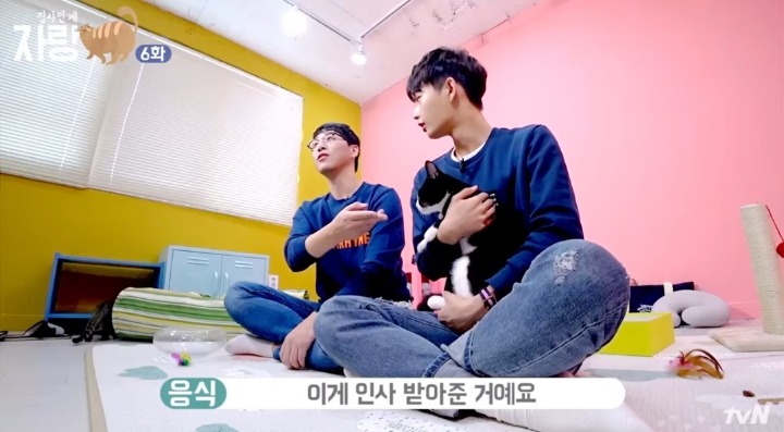 고양이랑 인사하는 법.jpg | 인스티즈