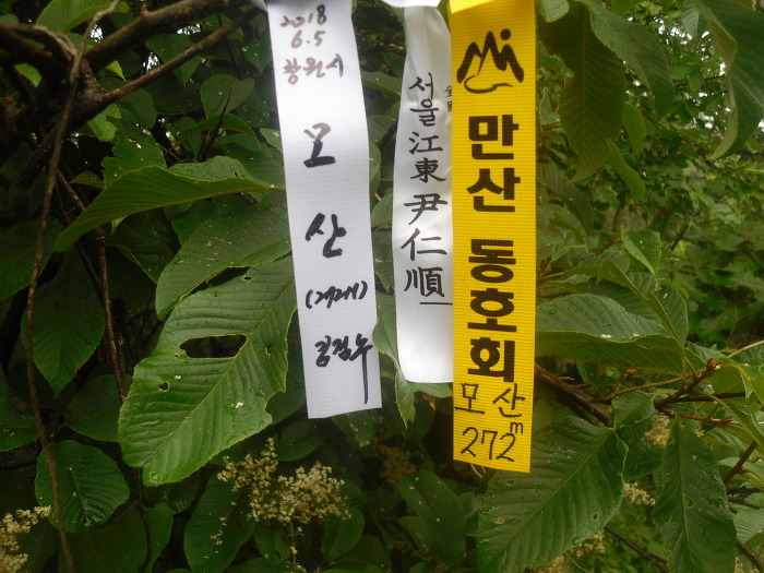경남주유소 이미지