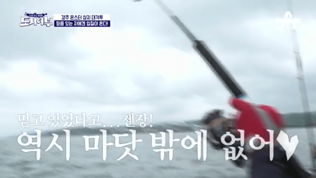 자막 때문에 호불호 갈리는 프로그램 | 인스티즈