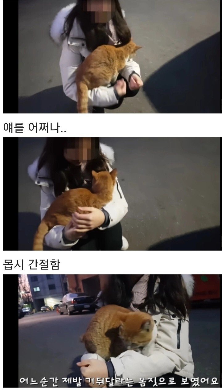 영하 10도의 바깥이 너무 추웠던 냥이 | 인스티즈