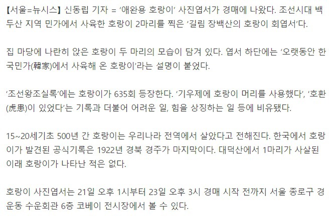 조선시대에는 호랑이를 집에서 키웠다? | 인스티즈