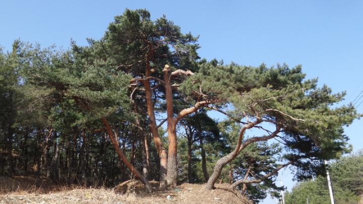 범천매운탕 이미지