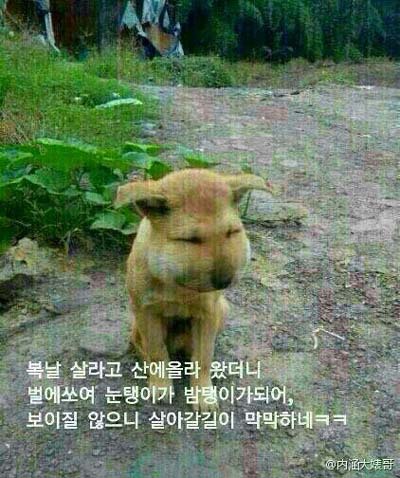 안녕하세요 이미지