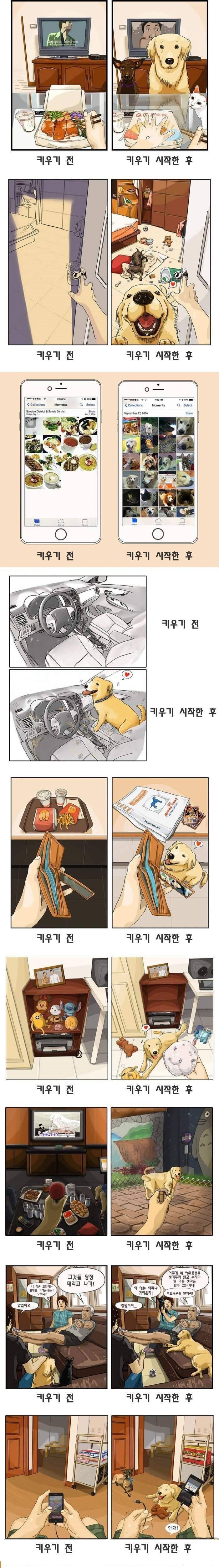 애완동물 키우기 전후 | 인스티즈