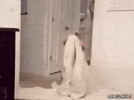 눈을 의심하게되는 최연소 마술사.gif | 인스티즈