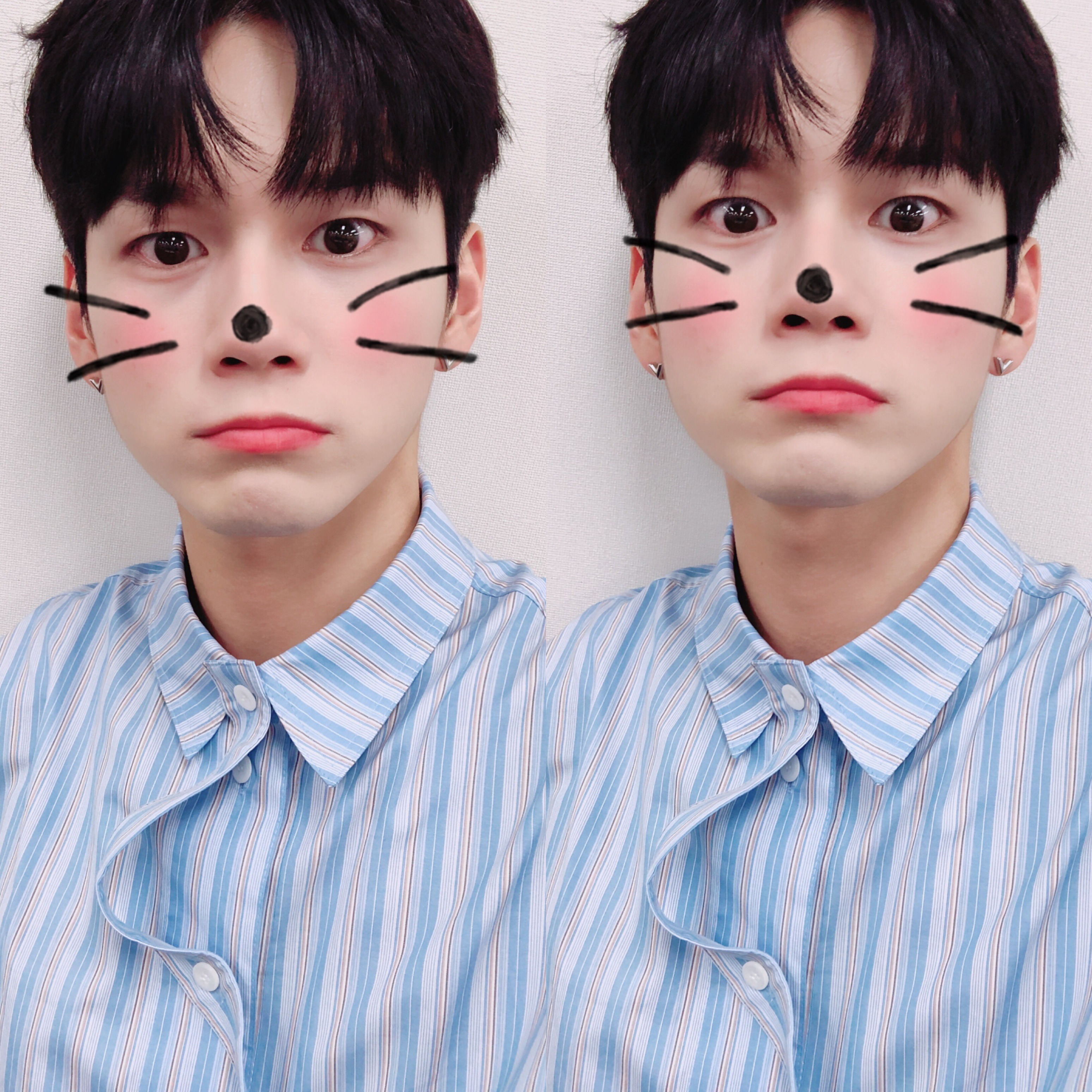 담아서 이미지