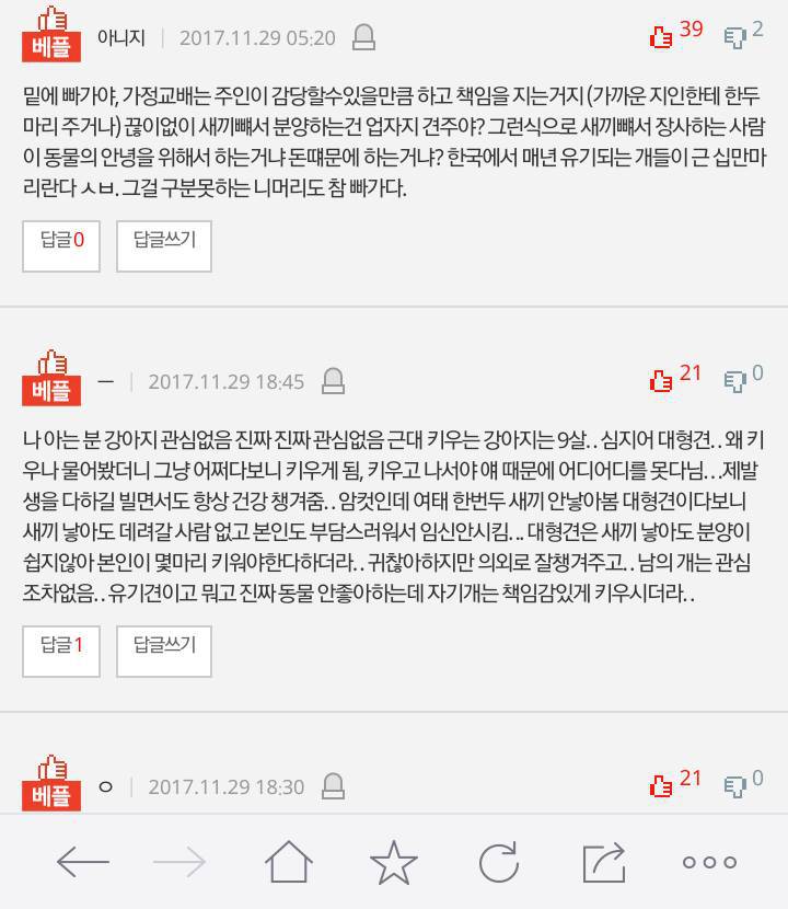 개를 악세사리로 아는 사람들 | 인스티즈