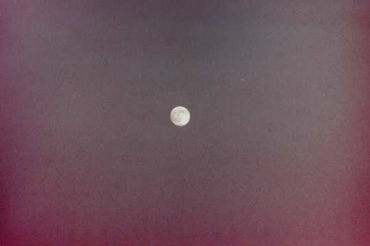  언제나 최선을 다해라 | 인스티즈