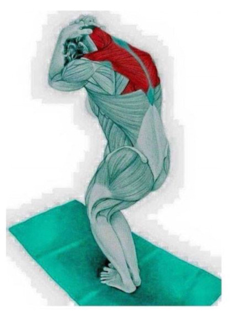 신체 부위별 스트레칭 방법 | 인스티즈