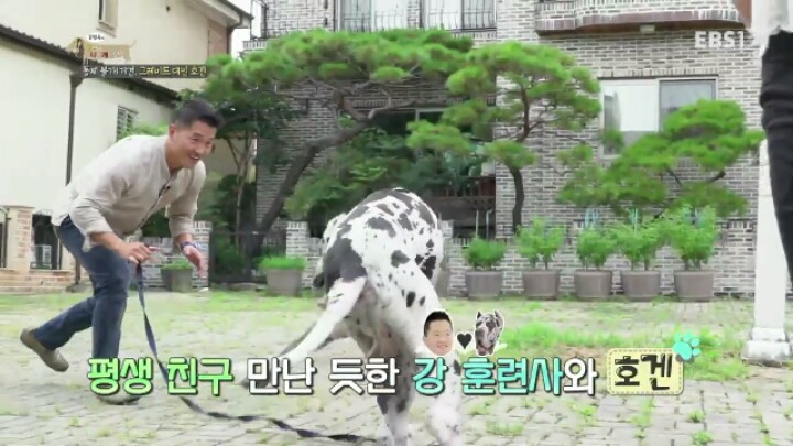 강형욱 훈련사에게 감탄한 세나개 제작진과 견주들.jpg | 인스티즈