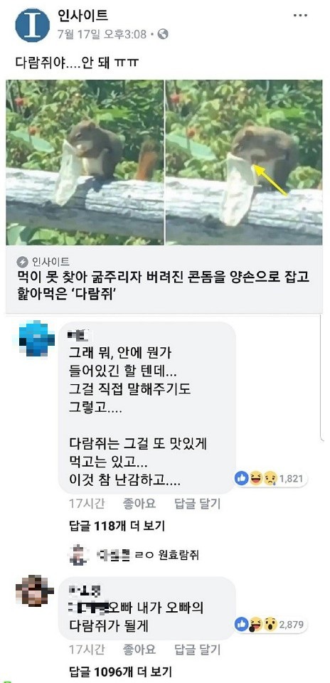 콘돔 먹는 다람쥐.jpg | 인스티즈
