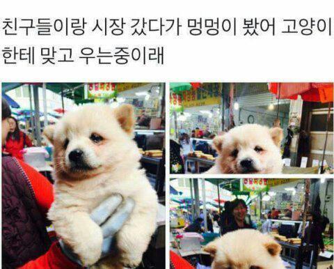 냥아치 클라스 | 인스티즈