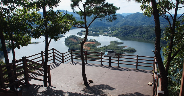 99C349335D2BC0002C254C