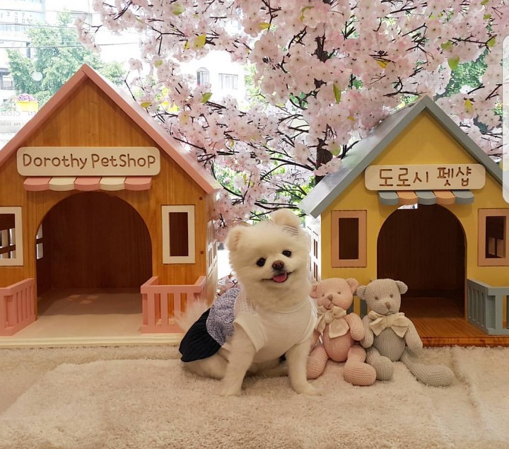 절대 화를 낼 수 없는 초보운전 스티커 | 인스티즈