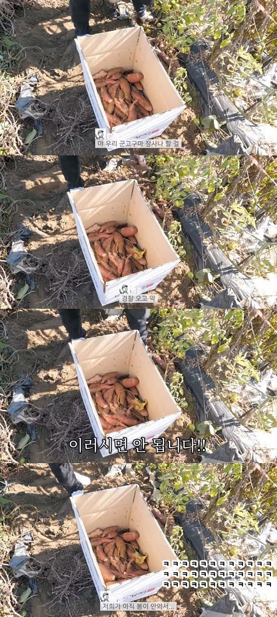 장범준이 고구마 캐서 팔려는 이유.jpg | 인스티즈