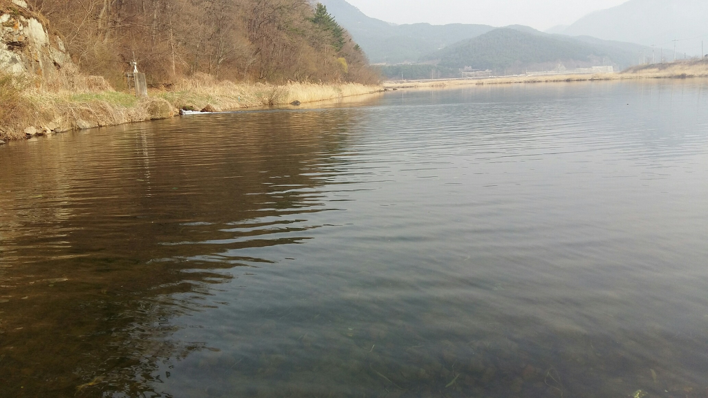 호방 이미지