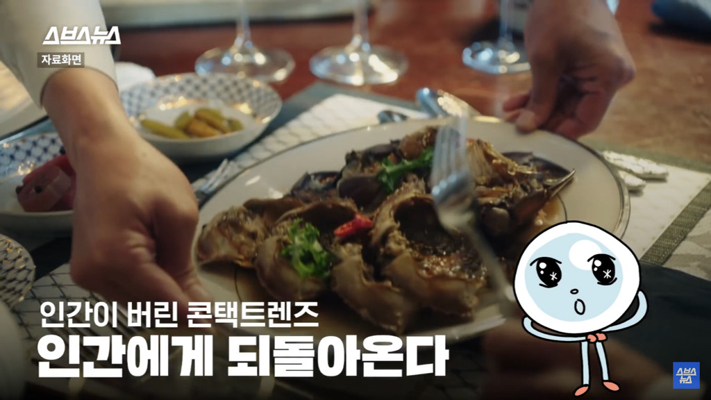 세면대나 변기에 버려진 콘택트 렌즈 어디로 갈까? | 인스티즈