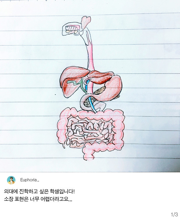 공부욕구 생기는 노트필기들 | 인스티즈
