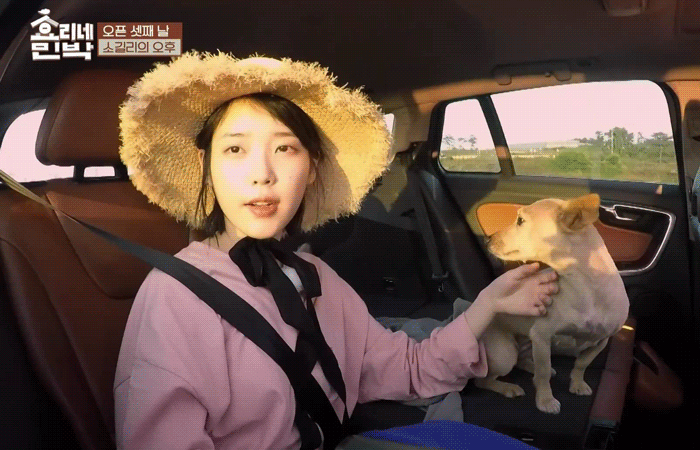 [효리네민박] 아이유에게 마음을 연 모카.gif | 인스티즈