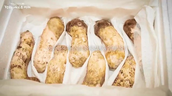 송이버섯 배송작전 | 인스티즈