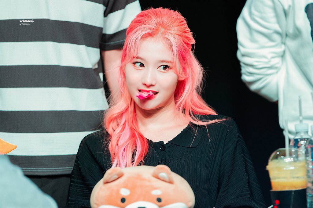 오늘이 생일인 트와이스 사나.jpgif (335장) | 인스티즈