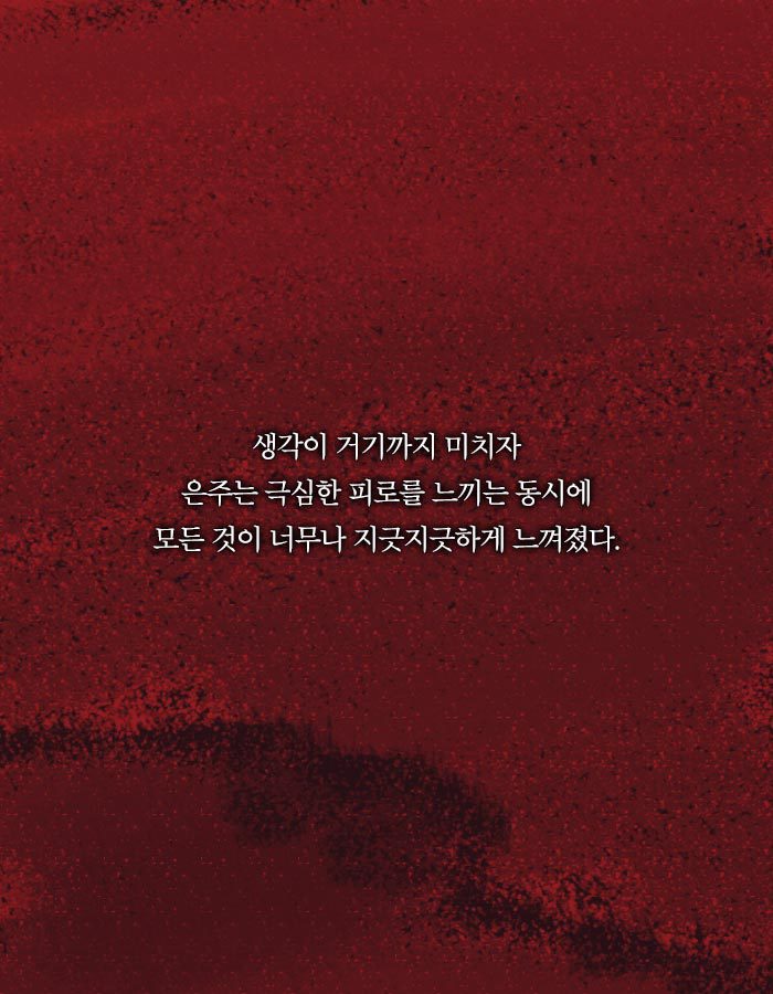 [책소개] 살인 용의자가 된 평범한 40대 주부 | 인스티즈