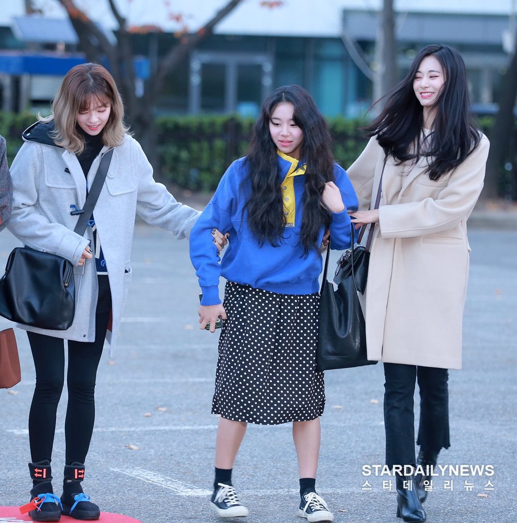 Breaking News - 예쁘고 귀여운 죄로 연행되는 아기맹수 채영이 | 인스티즈