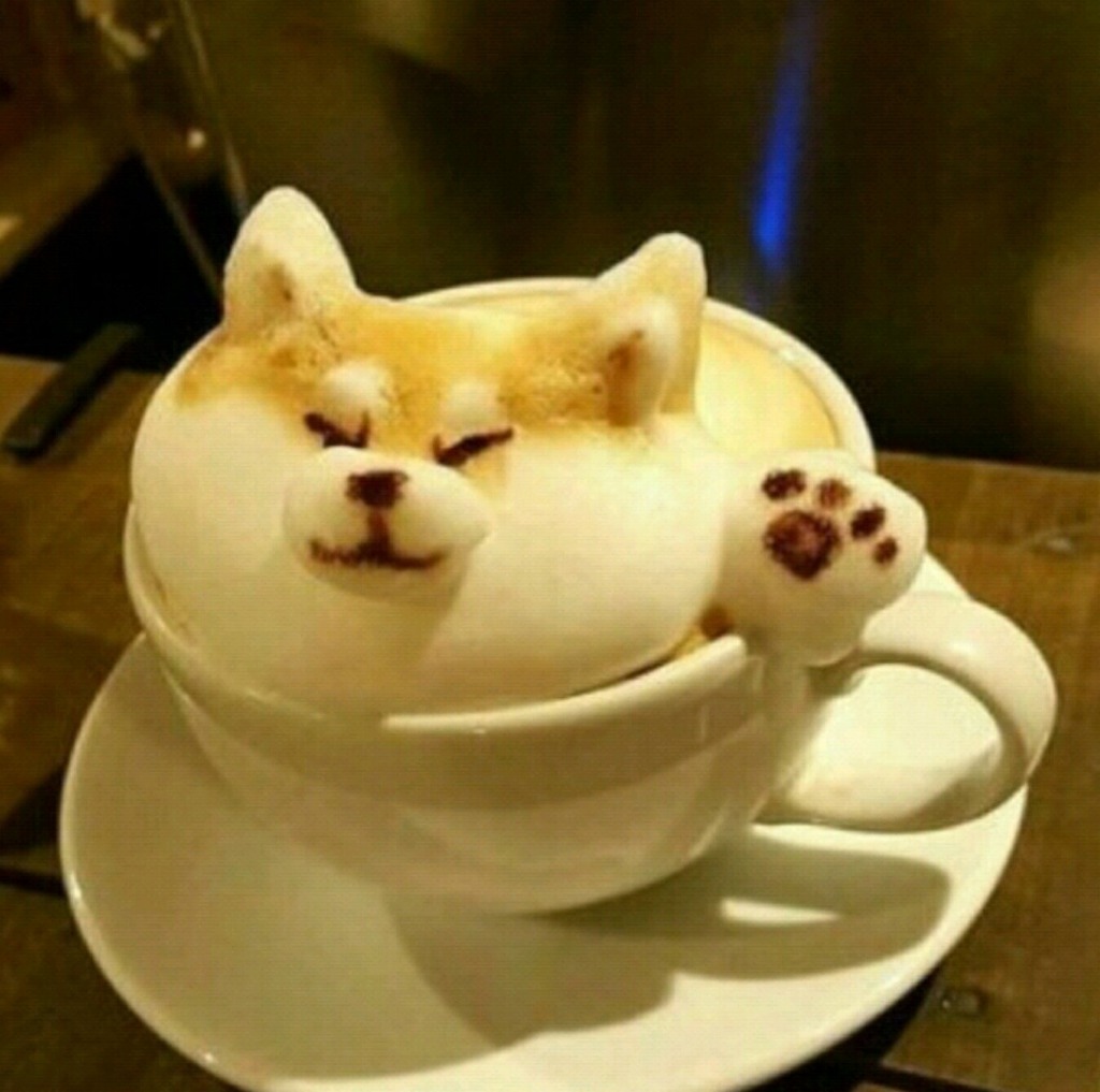 꿈꾸는언덕 이미지