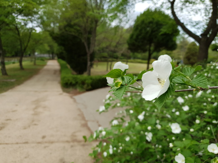 99E13E3E5CC64F0A274D2B