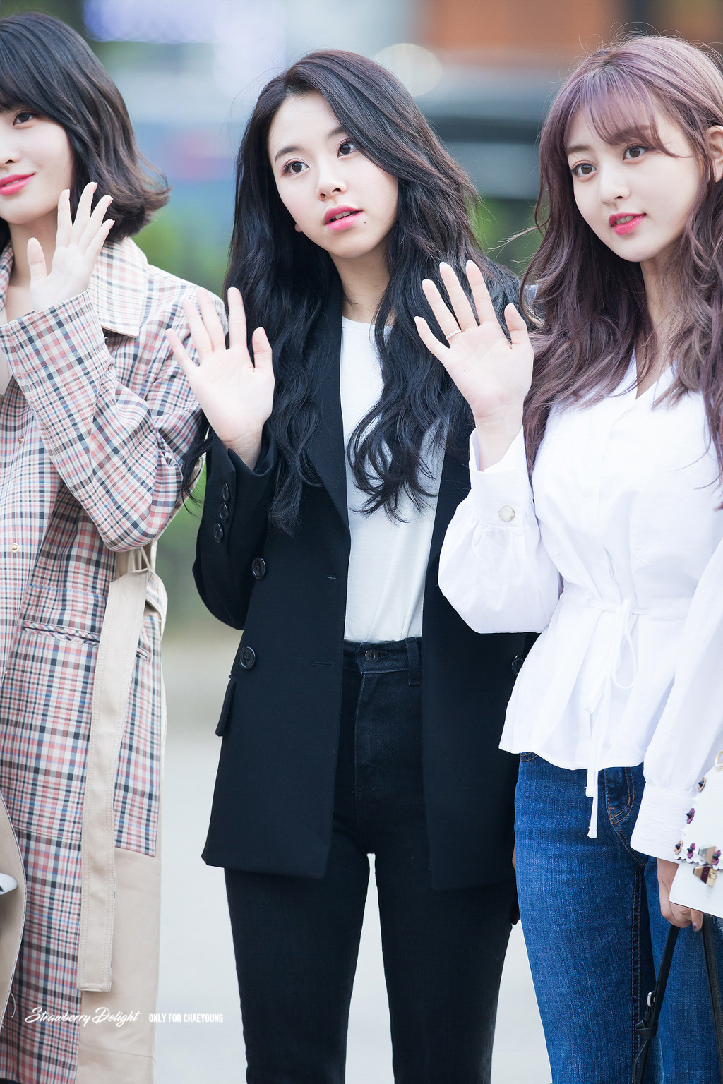 이제는 성인인 어른맹수 트와이스 채영| | 인스티즈