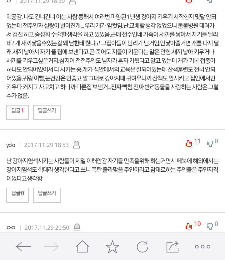개를 악세사리로 아는 사람들 | 인스티즈
