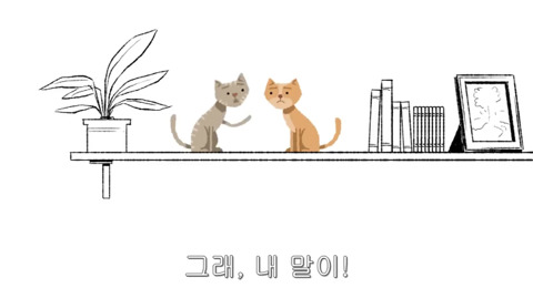 [동물] 고양이의 속마음 | 인스티즈