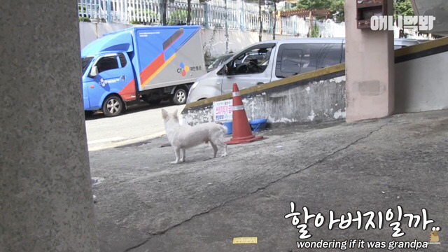 주인님이 열흘 째 문을 열어주지 않아요.. (캡쳐) | 인스티즈