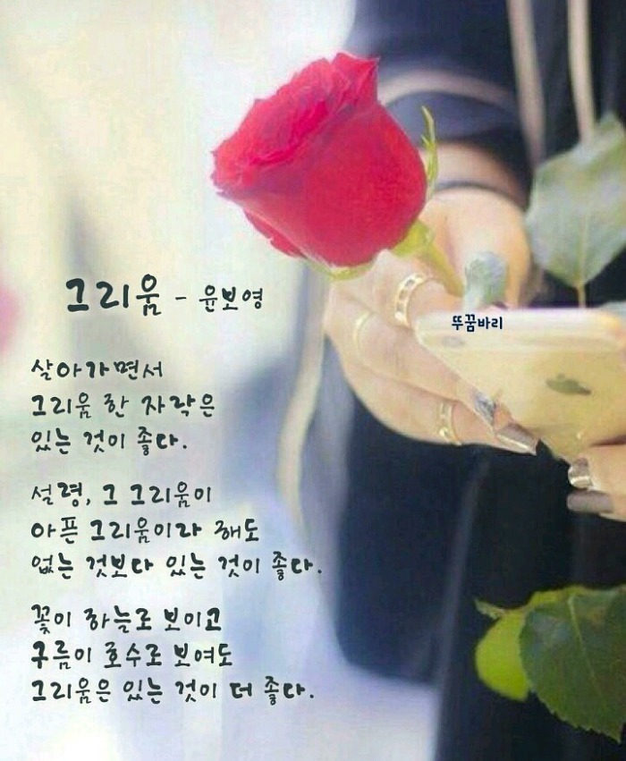 설레다 이미지
