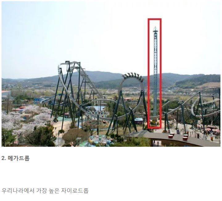 우리나라에서 면적대비 가장 알차다는 놀이공원 | 인스티즈