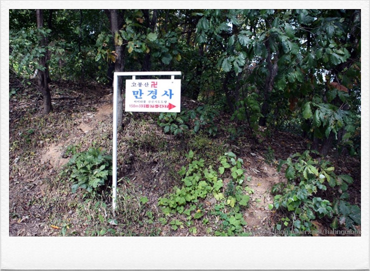 모당 이미지
