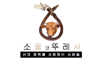 아이스크림 역사상 최고의 가성비 | 인스티즈