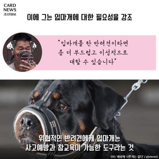 개통령 강형욱이 말하는 입마개 | 인스티즈