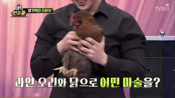 최현우 충격 엽기적인 동물마술 | 인스티즈